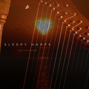 拉拉🈚️码视频在线观看
